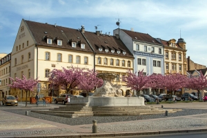 Hotel Česká Koruna ***+