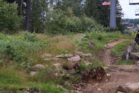 DSC01352-1.jpg